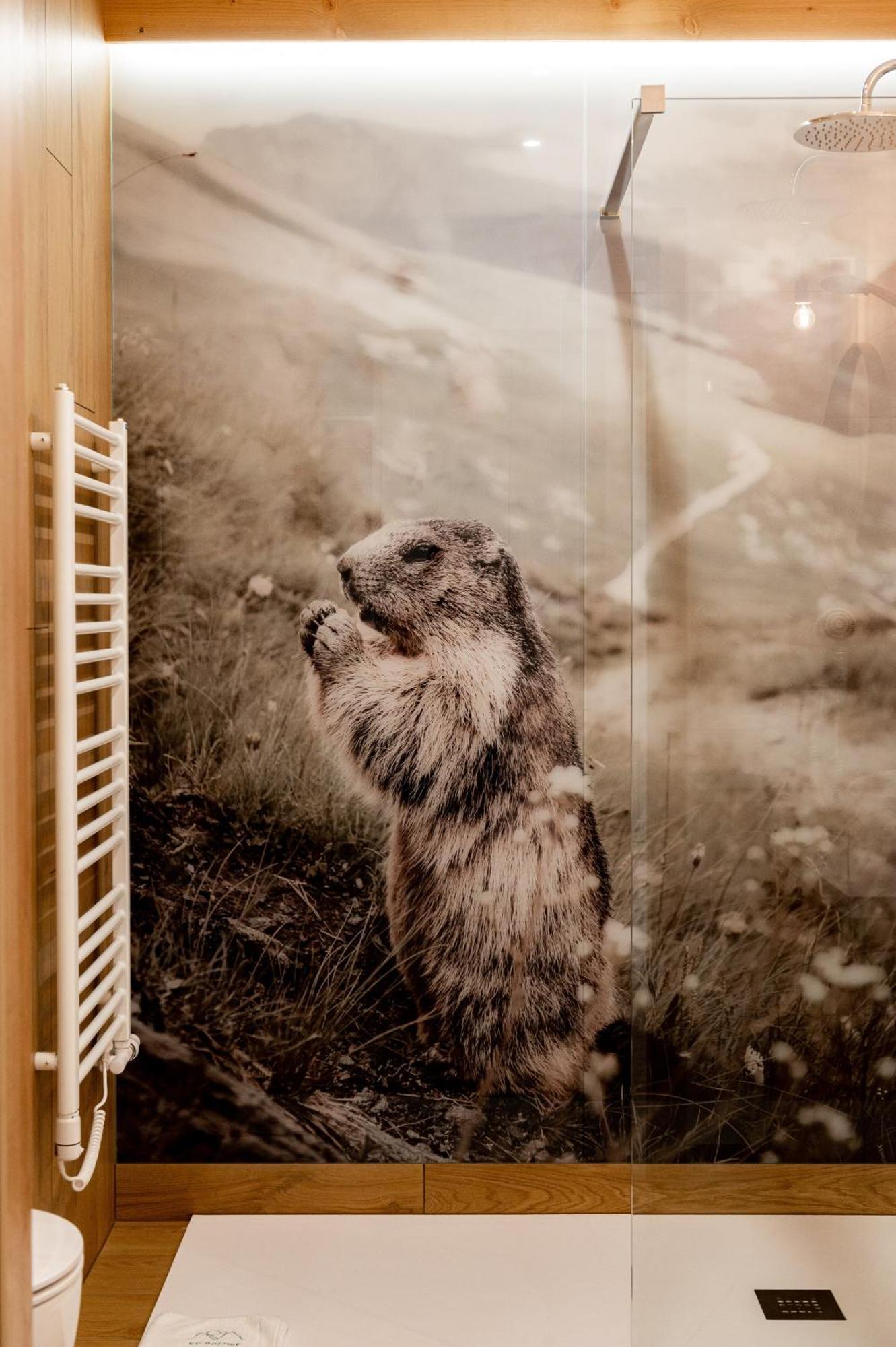 Ku Dolinie Aparthotel Kościelisko Kamer foto